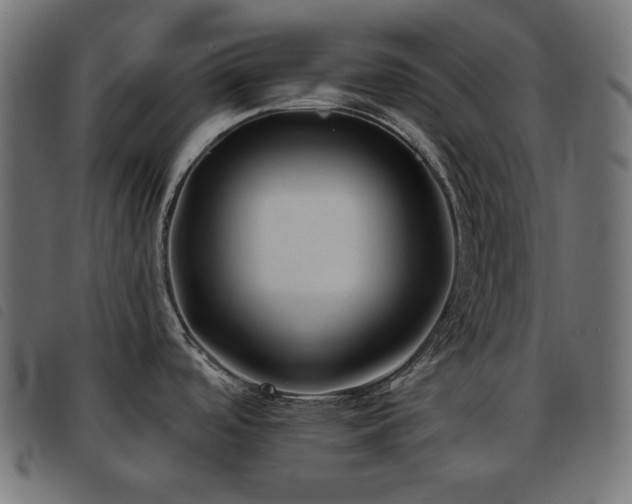X0000093481488200710121435