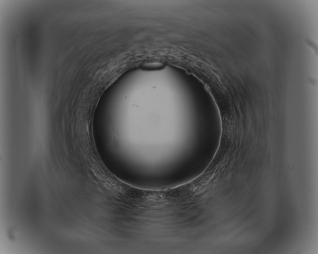 X0000093481489200710121434
