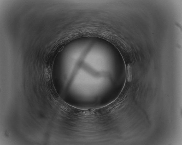 X0000093481491200710121434