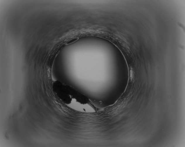 X0000093481492200710121434