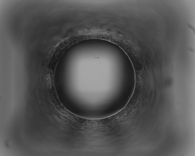 X0000093481493200710121434