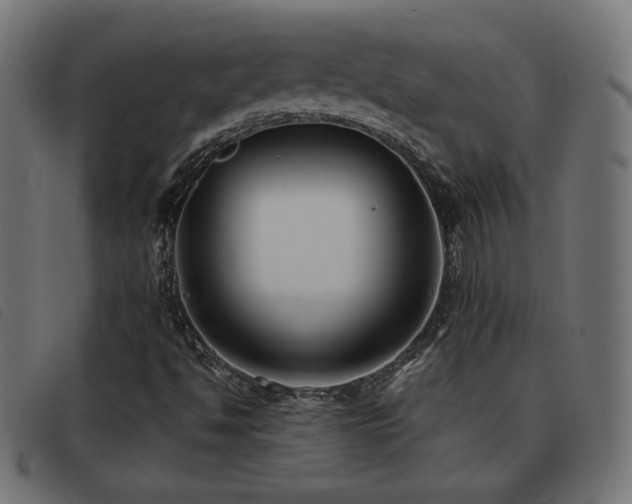 X0000093481494200710121434