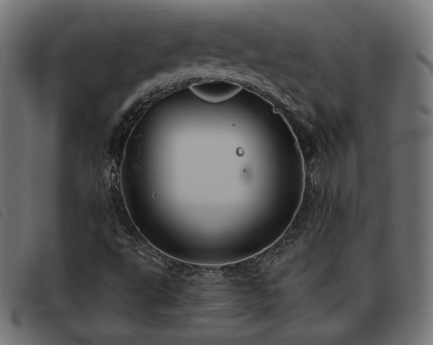 X0000093481495200710121434