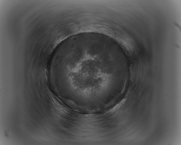 X0000093481497200710121434