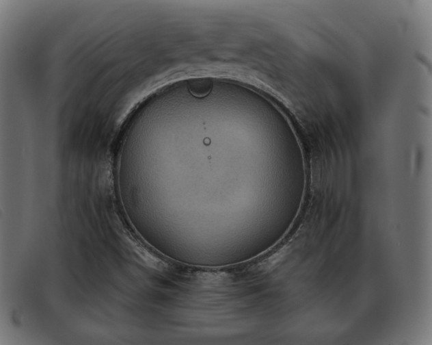 X0000093481498200710121434