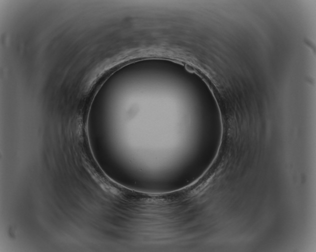 X0000093481499200710121434