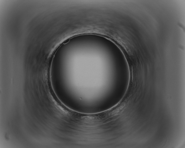 X0000093481500200710121434