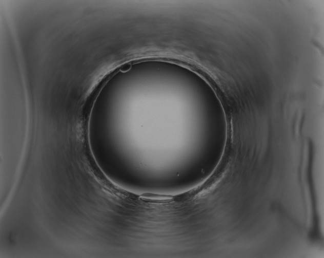 X0000093481501200710121434