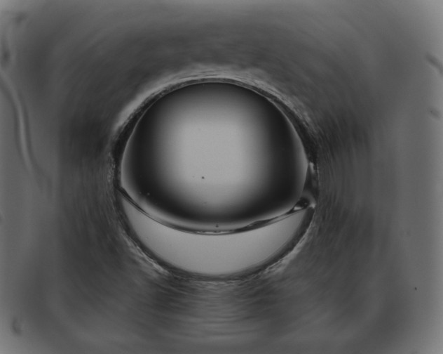 X0000093481502200710121434