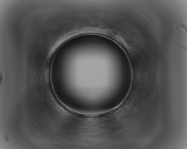 X0000093481504200710121434