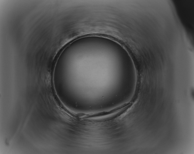 X0000093481505200710121435