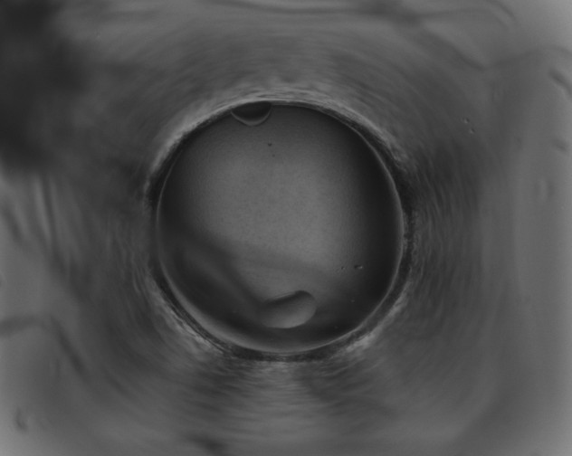 X0000093481506200710121435