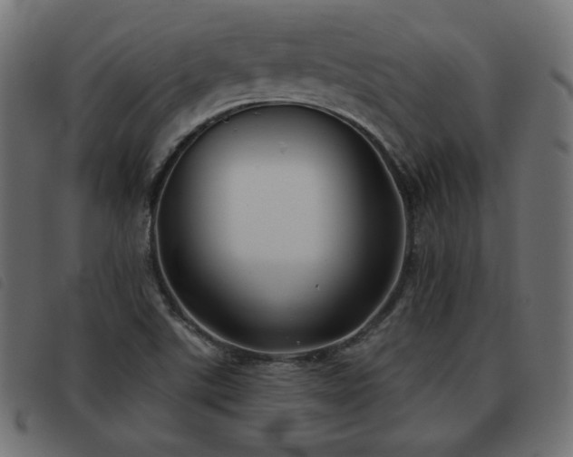 X0000093481507200710121435