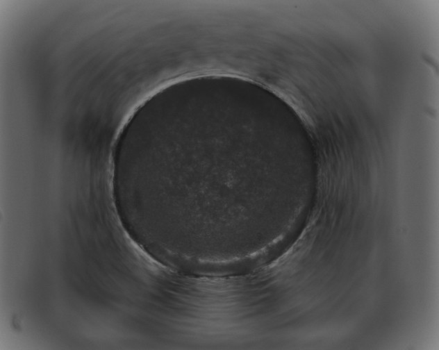 X0000093481508200710121435
