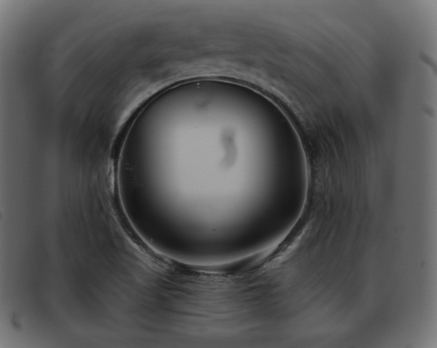 X0000093481509200710121435