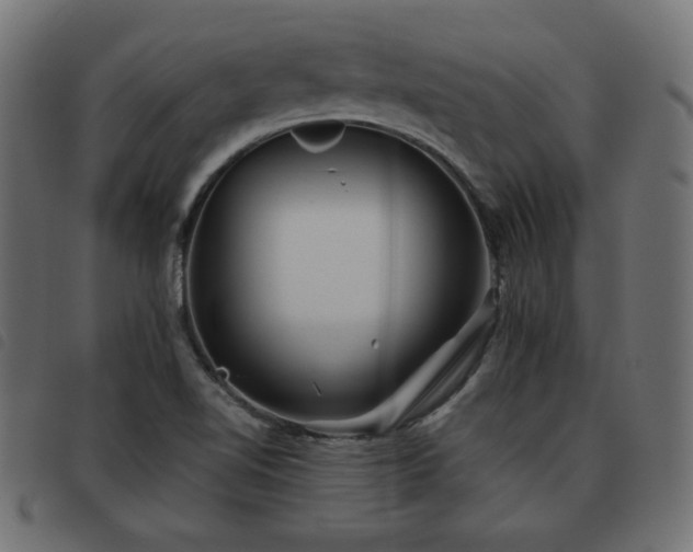 X0000093481510200710121435