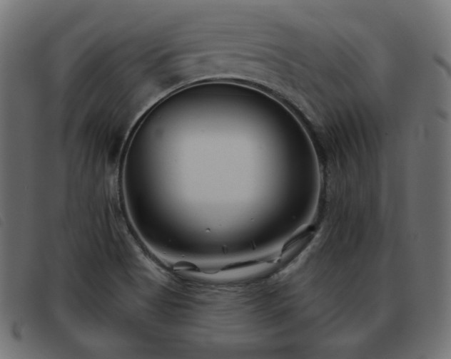 X0000093481513200710121435