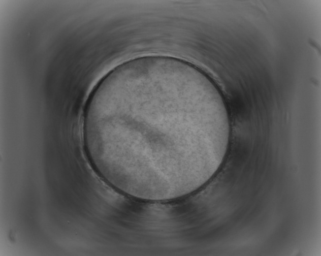 X0000093481514200710121435