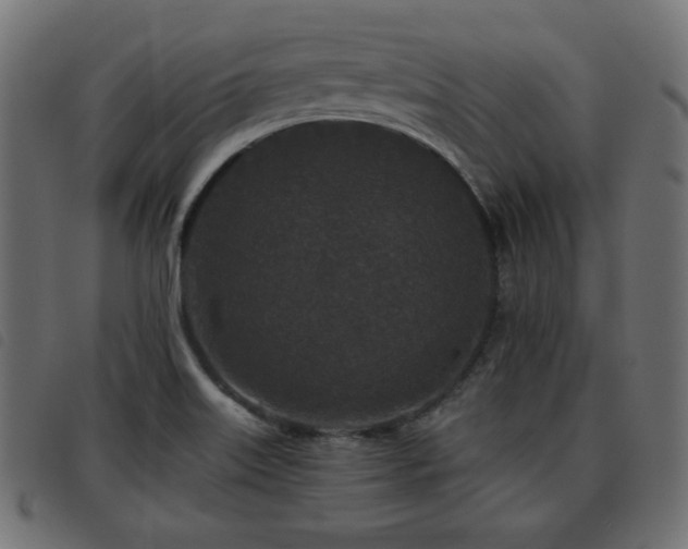 X0000093481515200710121435