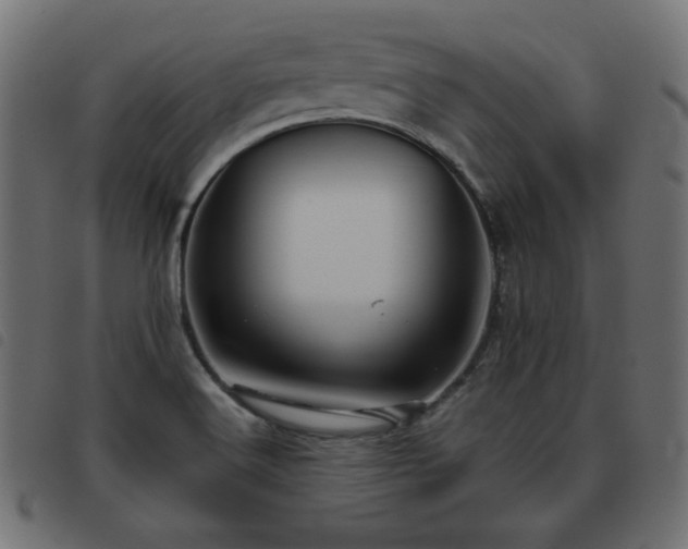 X0000093481516200710121435