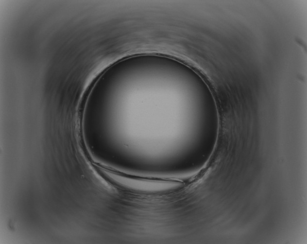 X0000093481517200710121435