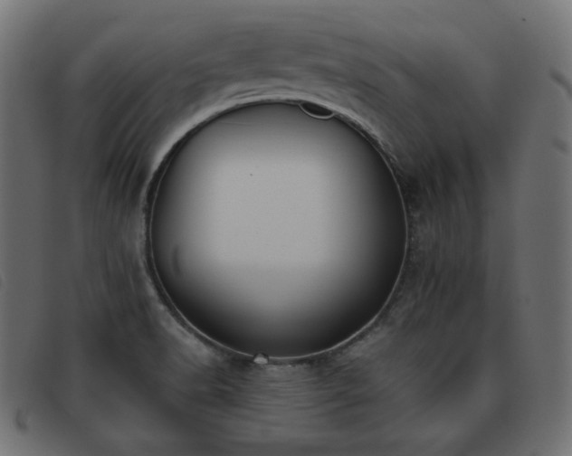 X0000093481518200710121435