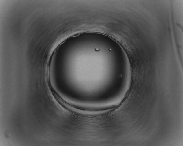 X0000093481520200710121435