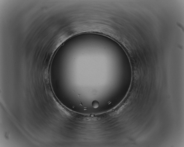 X0000093481521200710121435