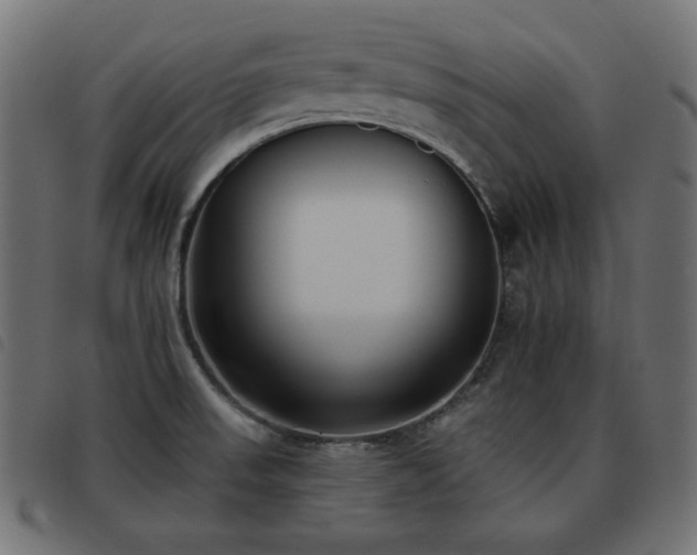 X0000093481523200710121435