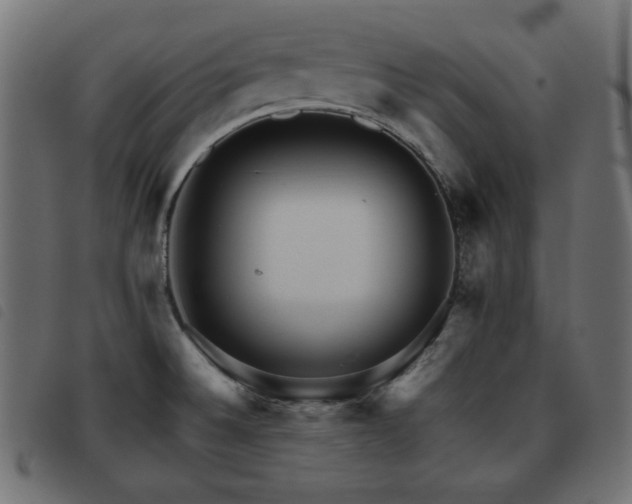 X0000093481524200710121435
