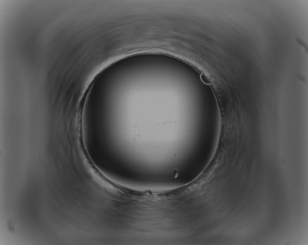X0000093481526200710121435