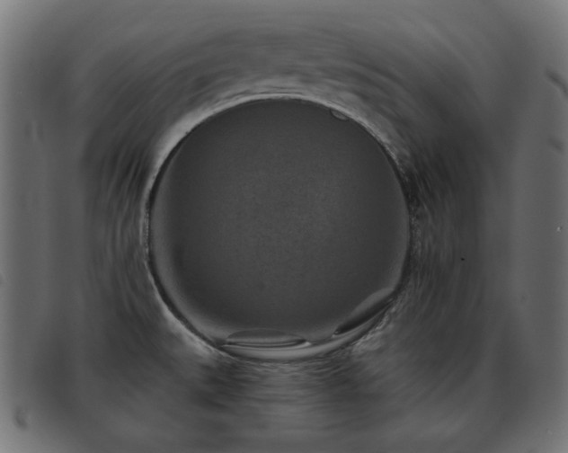 X0000093481527200710121435