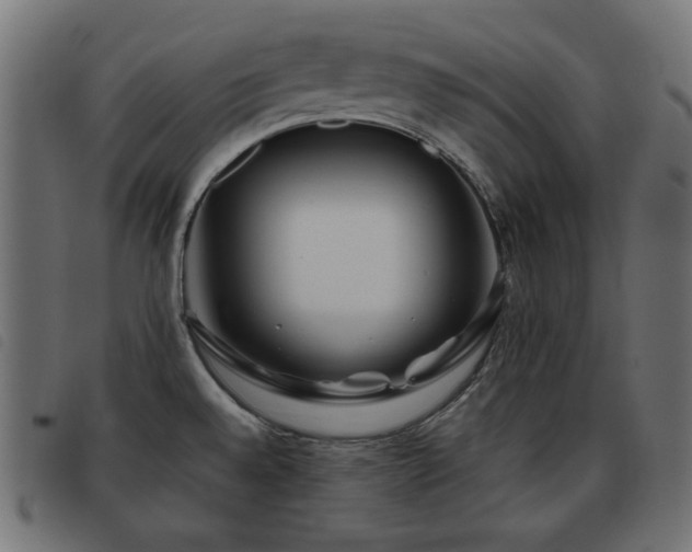 X0000093481528200710121435
