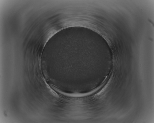 X0000093481529200710121435