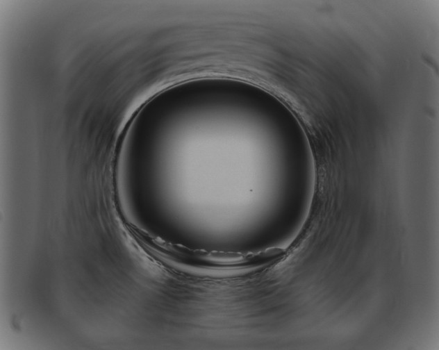 X0000093481530200710121435