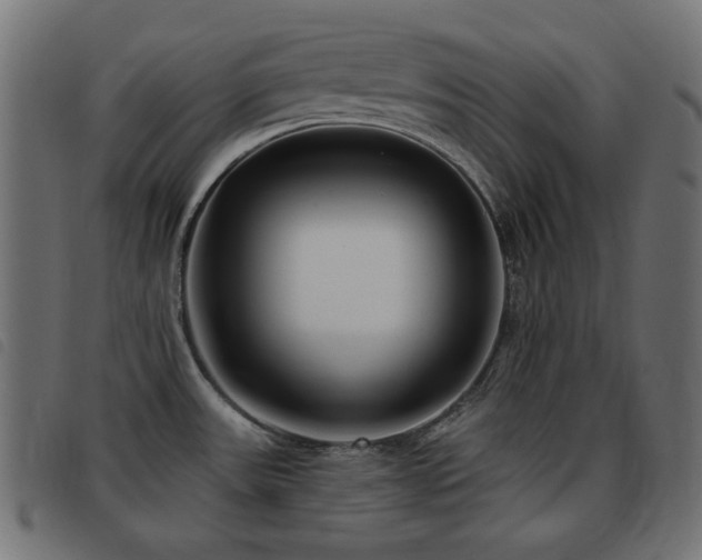 X0000093481531200710121435