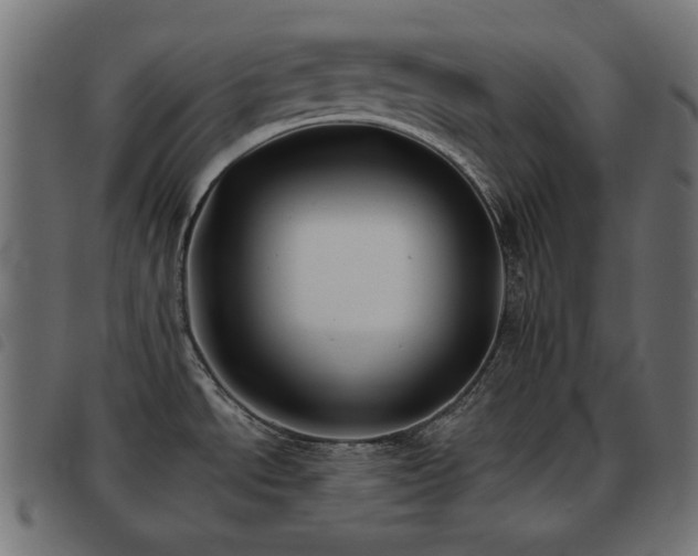 X0000093481534200710121435