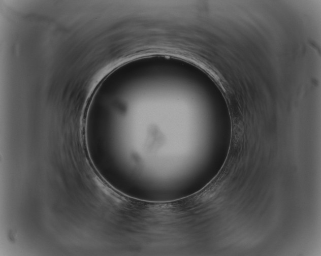 X0000093481535200710121435