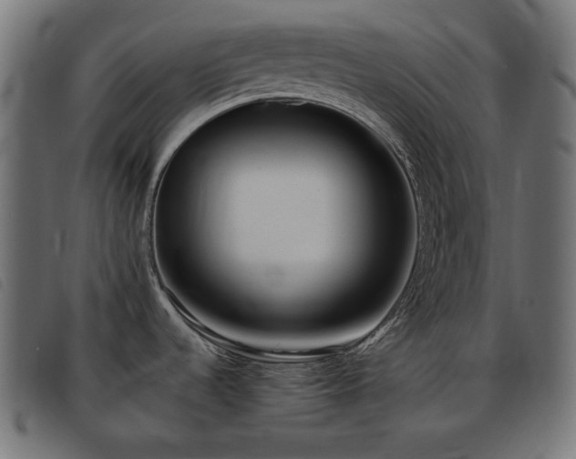 X0000093481536200710121435
