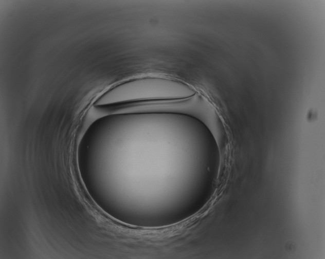 X0000093480001200710191216