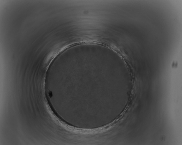 X0000093480002200710191216
