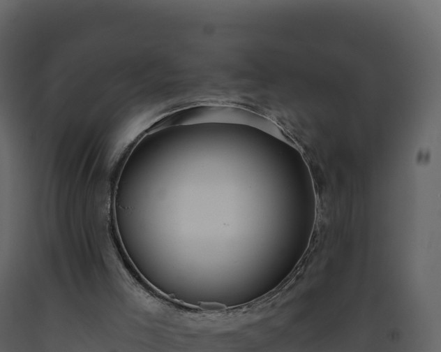 X0000093480005200710191216