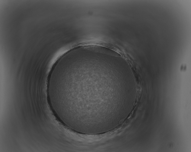 X0000093480006200710191216