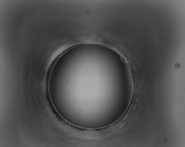 X0000093480008200710191216