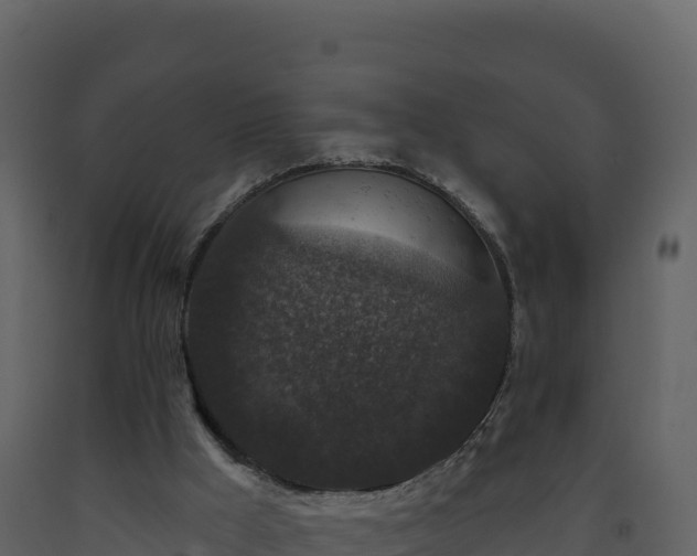 X0000093480009200710191216