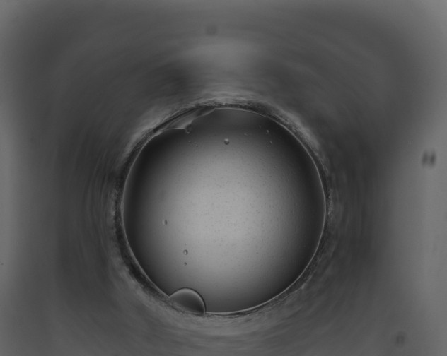 X0000093480010200710191216