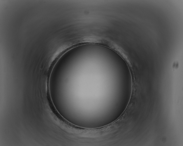 X0000093480011200710191216