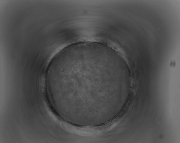 X0000093480012200710191216