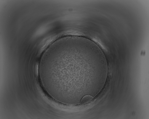 X0000093480014200710191216