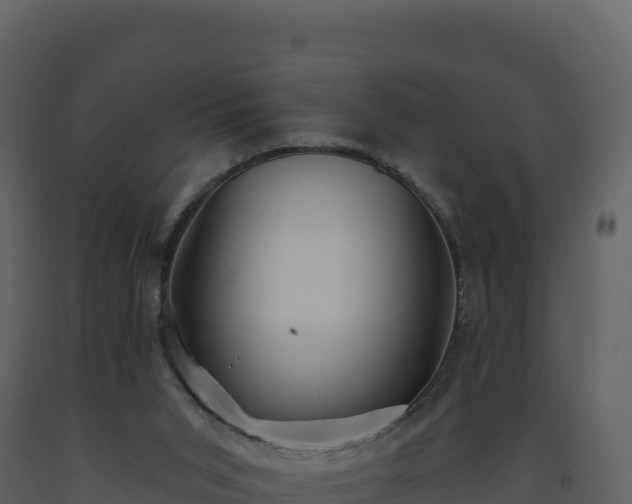 X0000093480015200710191216